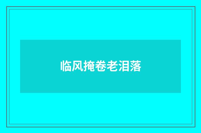 临风掩卷老泪落