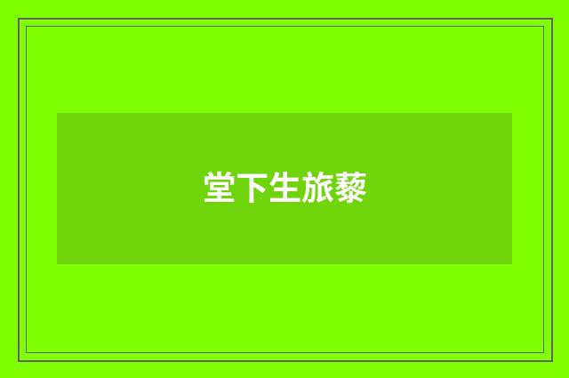 堂下生旅藜