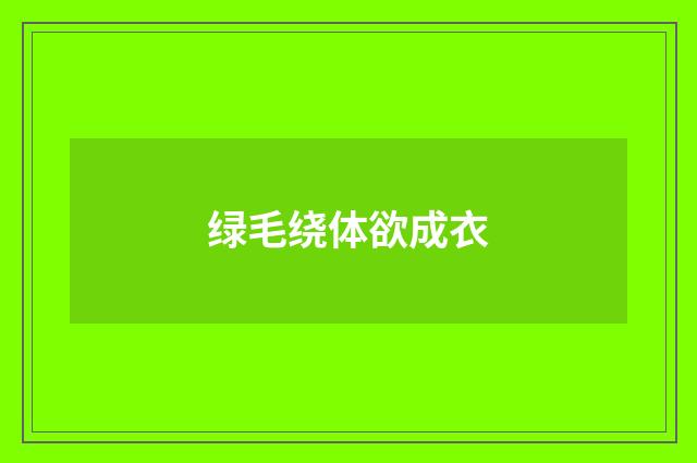 绿毛绕体欲成衣