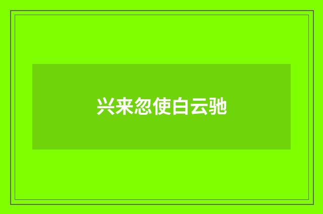 兴来忽使白云驰
