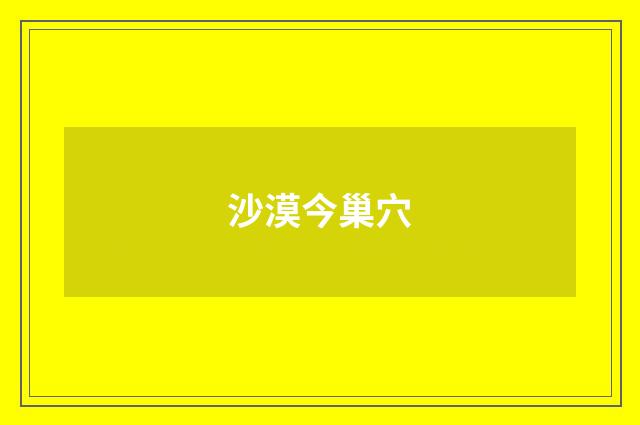 沙漠今巢穴