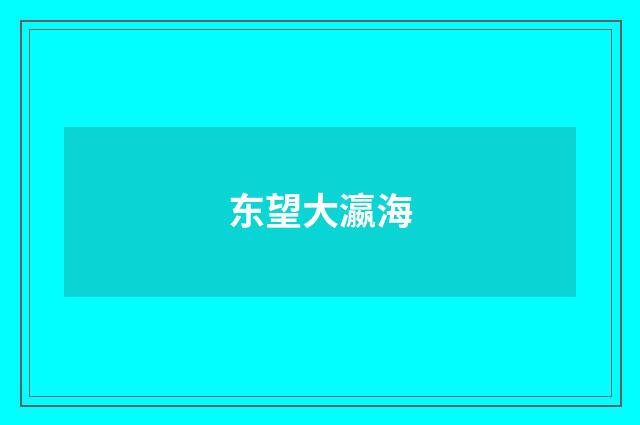 东望大瀛海
