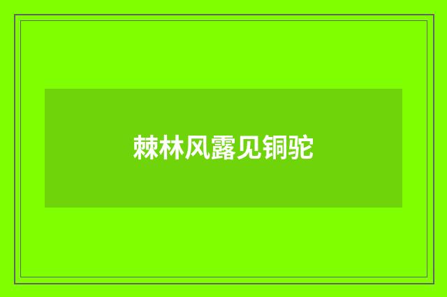 棘林风露见铜驼