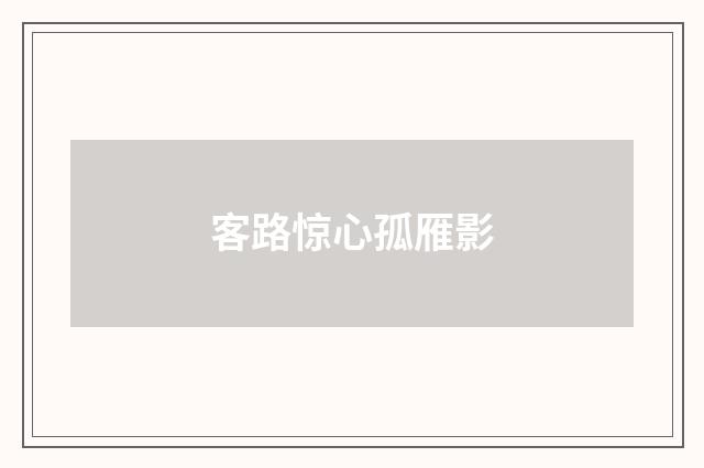 客路惊心孤雁影