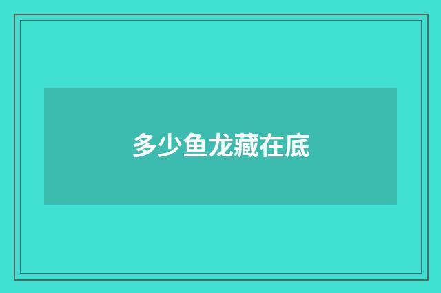 多少鱼龙藏在底