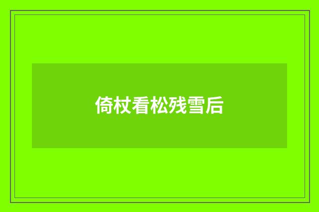 倚杖看松残雪后