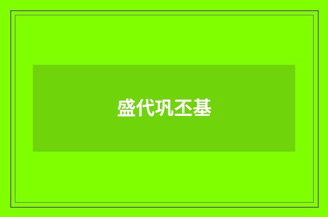 盛代巩丕基