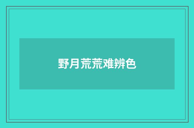 野月荒荒难辨色
