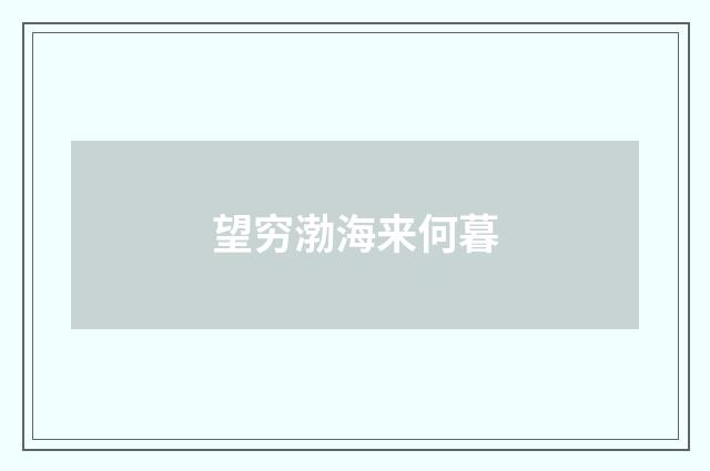 望穷渤海来何暮
