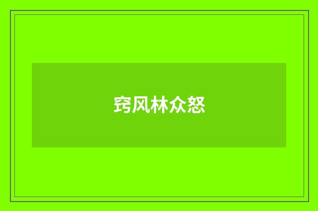 窍风林众怒