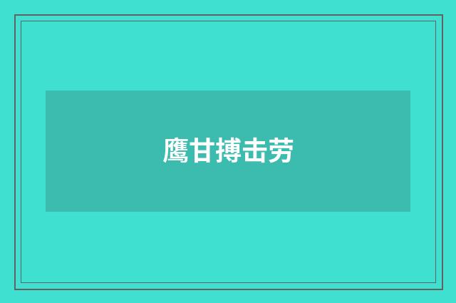 鹰甘搏击劳