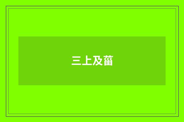三上及菑