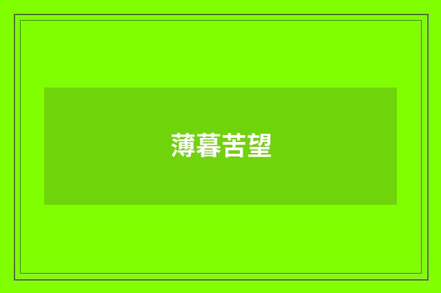 薄暮苦望
