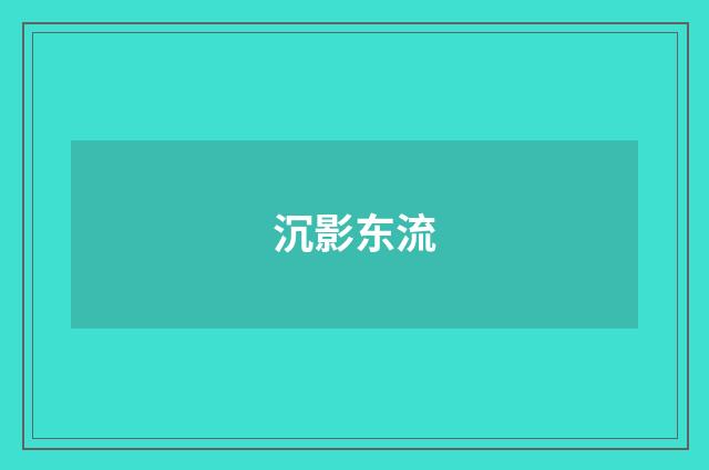 沉影东流