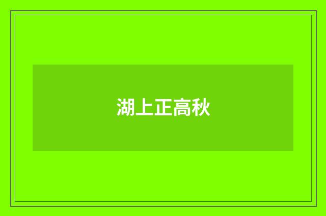湖上正高秋