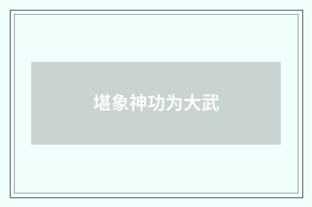堪象神功为大武