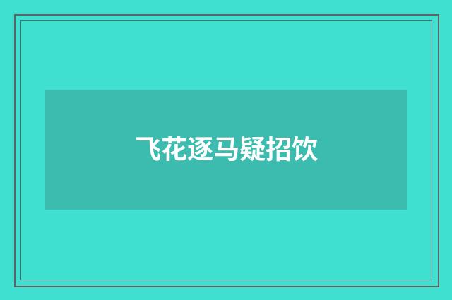 飞花逐马疑招饮