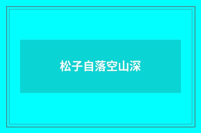 松子自落空山深