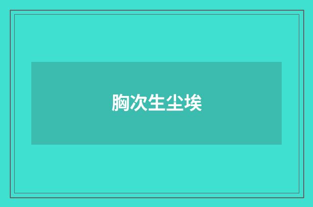 胸次生尘埃