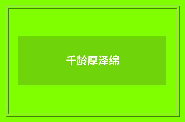 千龄厚泽绵