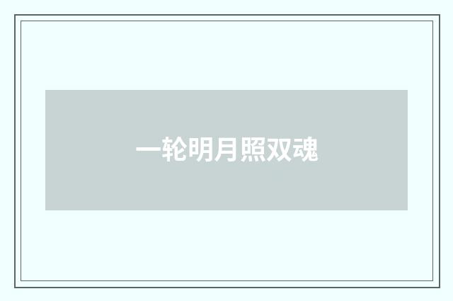 一轮明月照双魂
