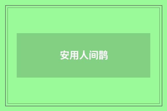 安用人间鹊