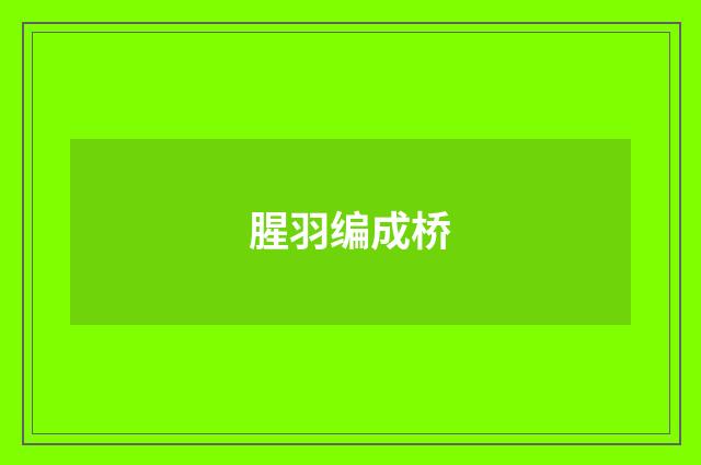 腥羽编成桥