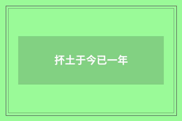 抔土于今已一年