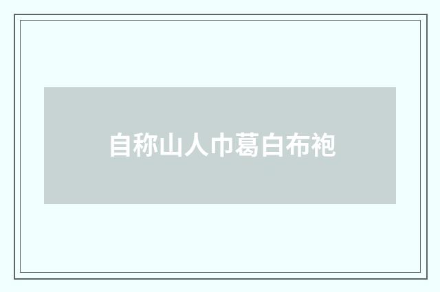 自称山人巾葛白布袍