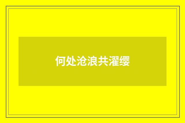 何处沧浪共濯缨