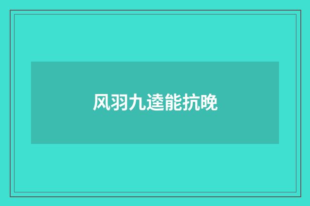风羽九逵能抗晚