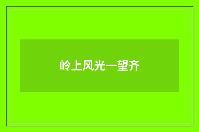 岭上风光一望齐