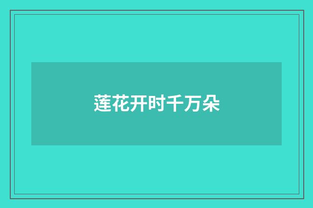 莲花开时千万朵
