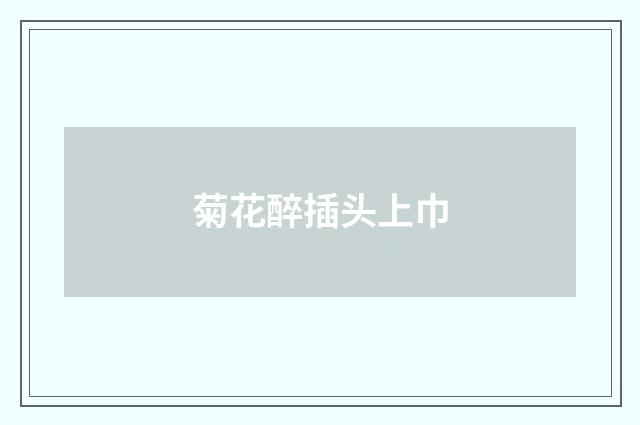 菊花醉插头上巾