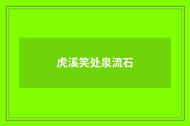 虎溪笑处泉流石