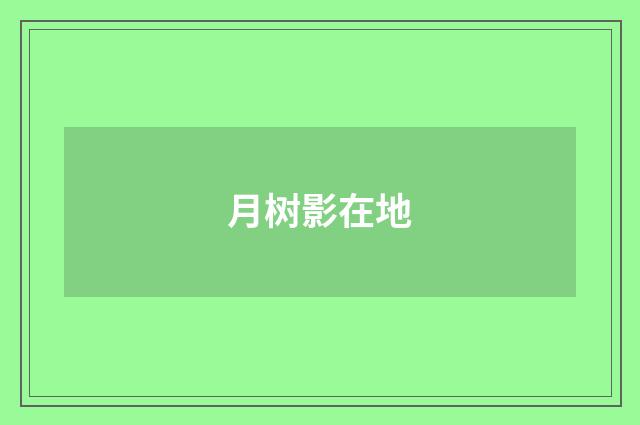 月树影在地