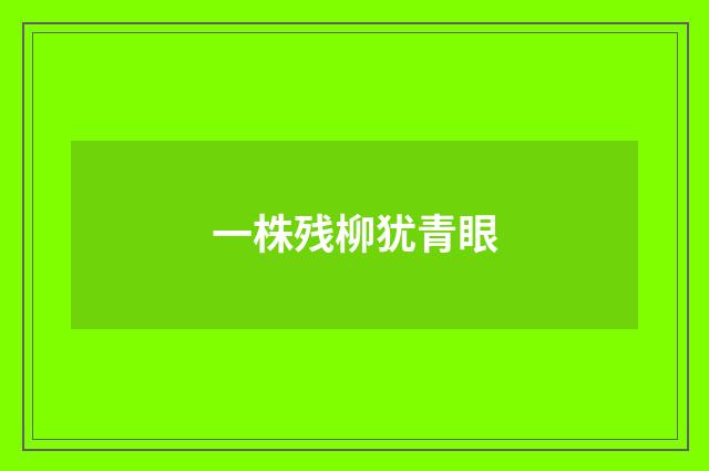 一株残柳犹青眼