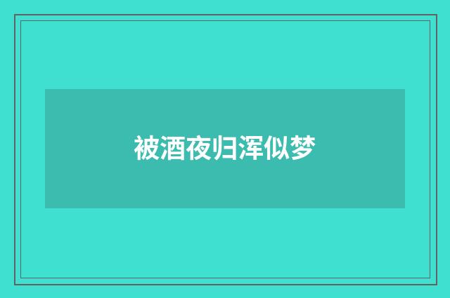 被酒夜归浑似梦