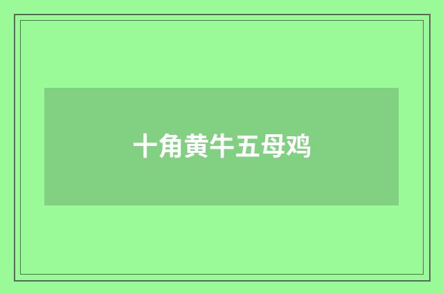 十角黄牛五母鸡