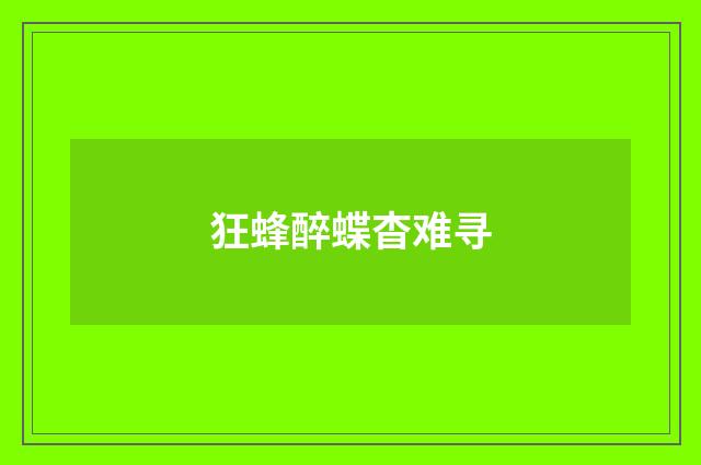 狂蜂醉蝶杳难寻