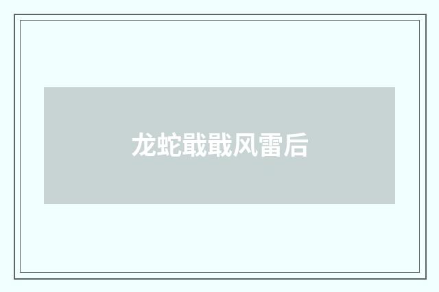 龙蛇戢戢风雷后