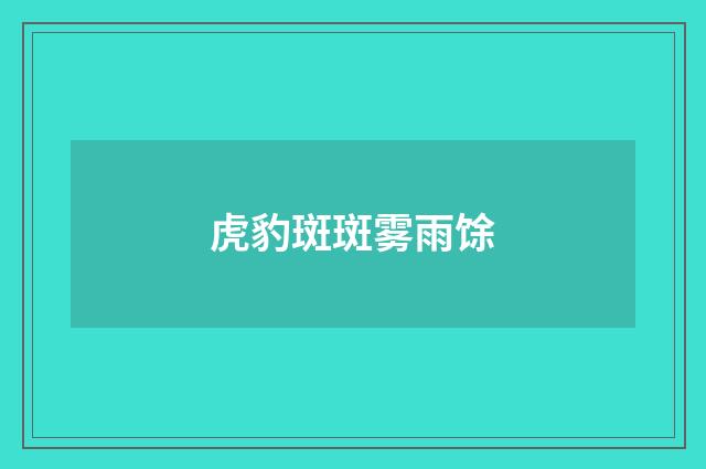 虎豹斑斑雾雨馀