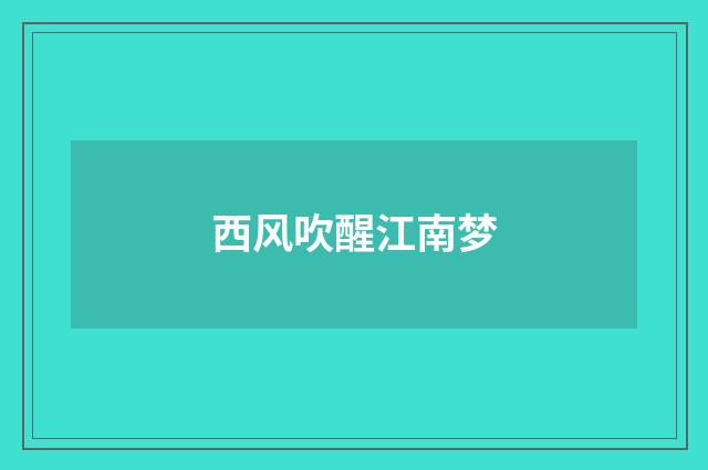 西风吹醒江南梦