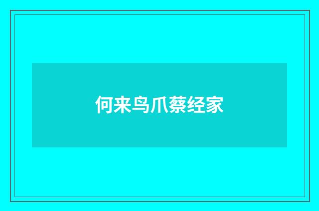 何来鸟爪蔡经家