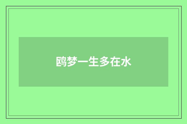 鸥梦一生多在水