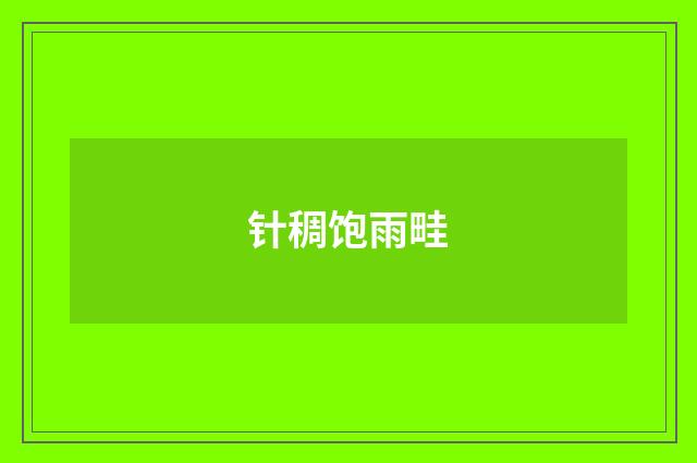 针稠饱雨畦