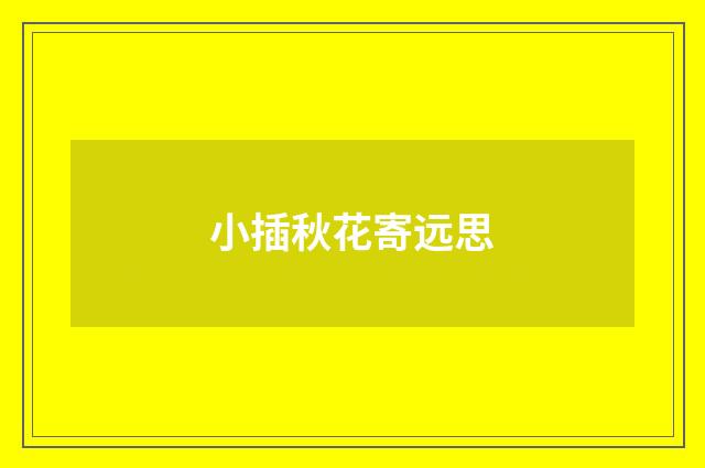 小插秋花寄远思