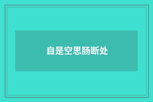 自是空思肠断处