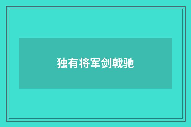 独有将军剑戟驰