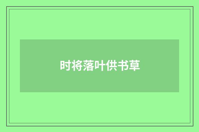 时将落叶供书草